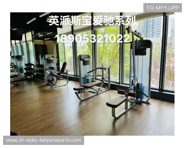 英派斯健身器材报价及产品配置详细介绍