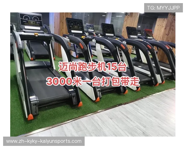 迈尚健身器材官网：了解迈尚品牌的健身产品与服务