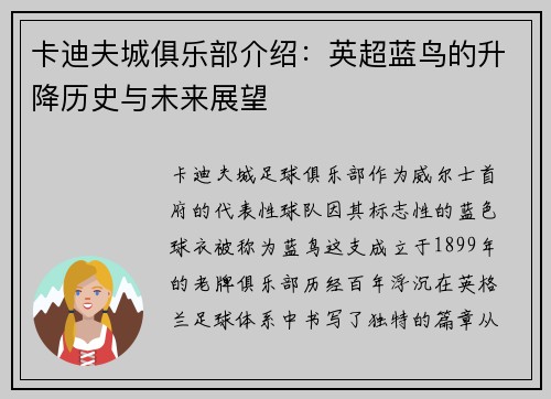 卡迪夫城俱乐部介绍：英超蓝鸟的升降历史与未来展望