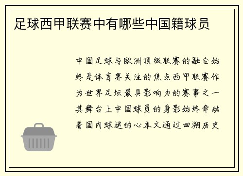 足球西甲联赛中有哪些中国籍球员