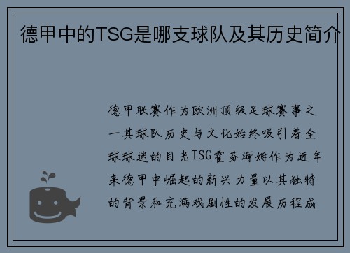 德甲中的TSG是哪支球队及其历史简介