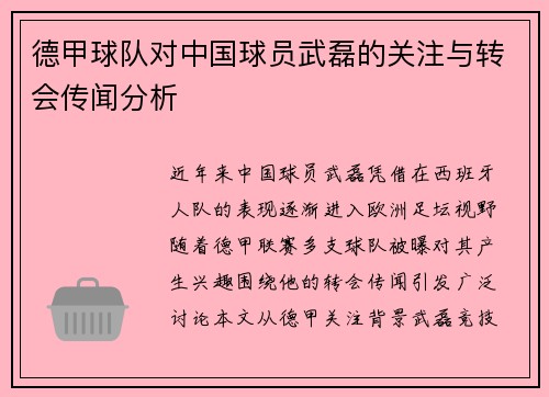 德甲球队对中国球员武磊的关注与转会传闻分析